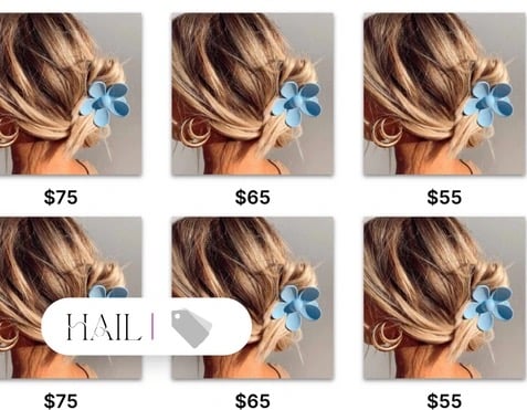 6 images of the same hair clip with different prices, ranging from $55 - $75.